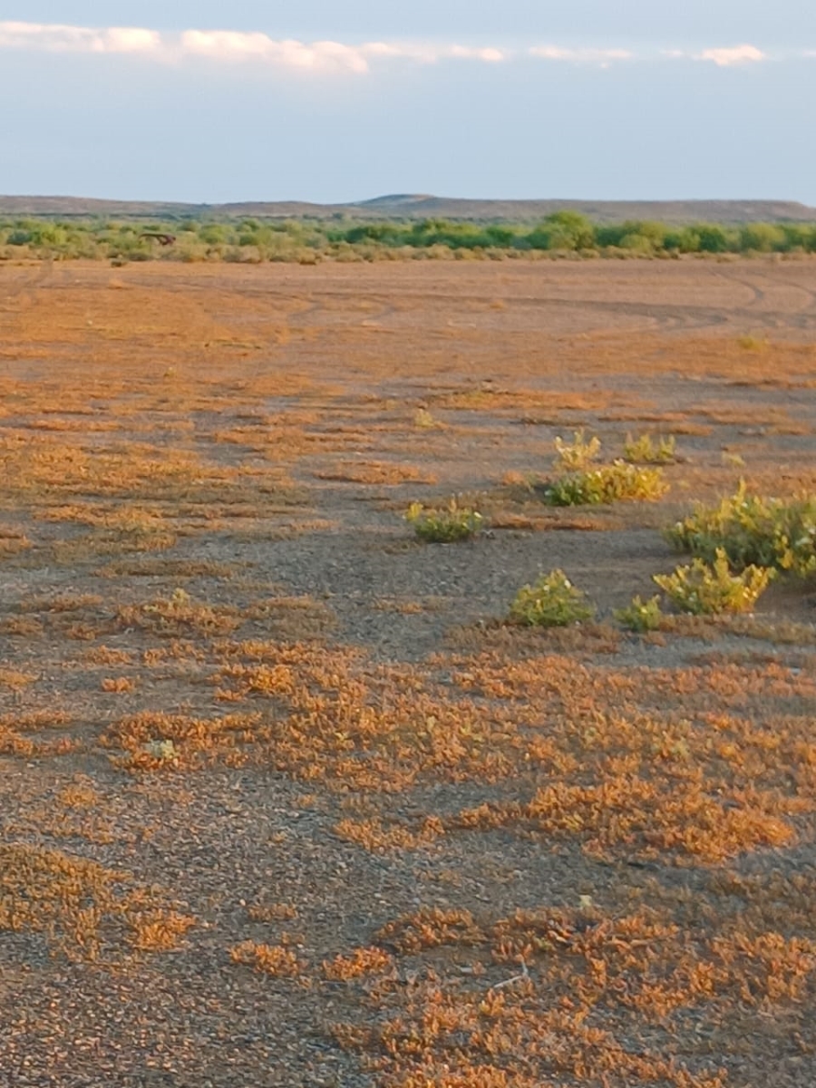 Commercial Property for Sale in Vanwyksvlei Northern Cape